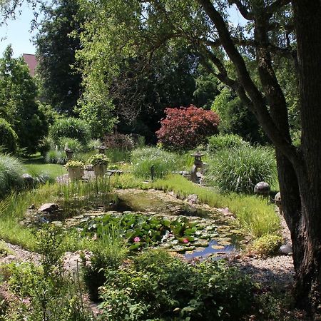 Fewo - Wohlfuehlambiente & Gartenparadies Modautal Exterior photo